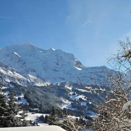 Am Acher Ii Apt- F By Interhome Apartamento Wengen